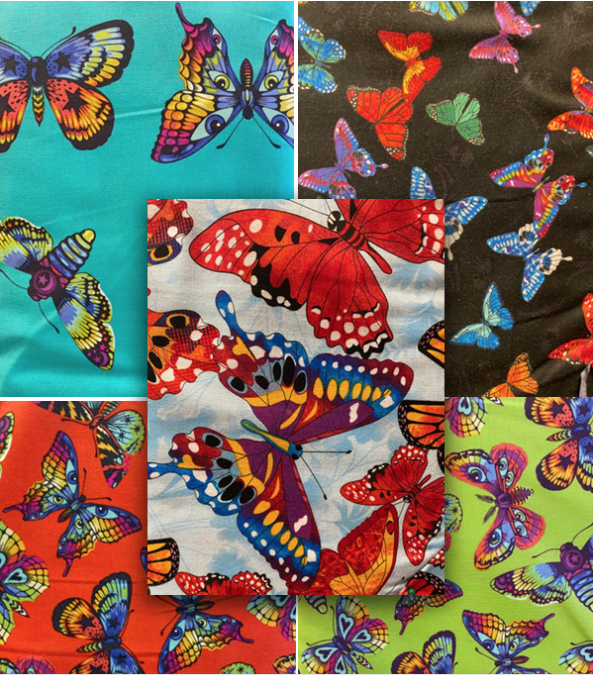 Butterfiles and More…
