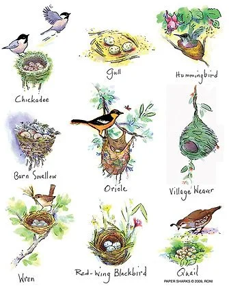 Flour Sack Towel - Bird Nests