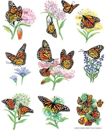 Flour Sack Towel - Monarchs