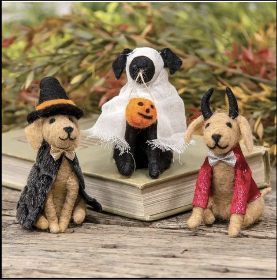 Get Ready! Here it comes…