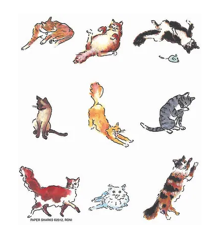 Cats 2-RS139.png