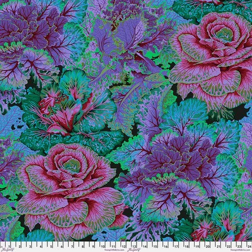 Curly Kale - Dark
