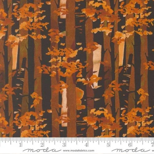 Northern Brights - Birch Stripes - Night Sky