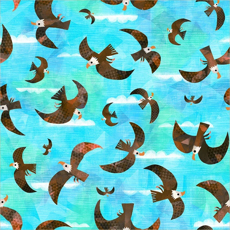 55463D-1-Bald Eagle-Turquoise.webp
