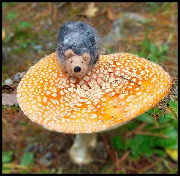 hedgehog_beauty_grande.jpg