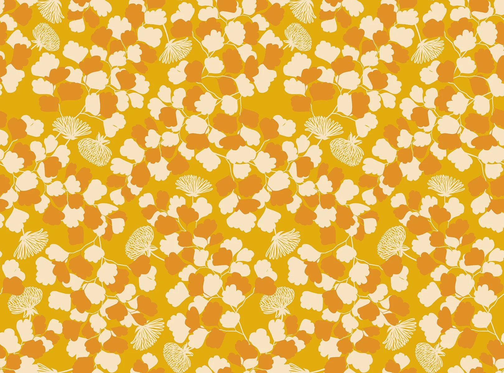 RS0053 11-Spotted-Goldenrod.jpg