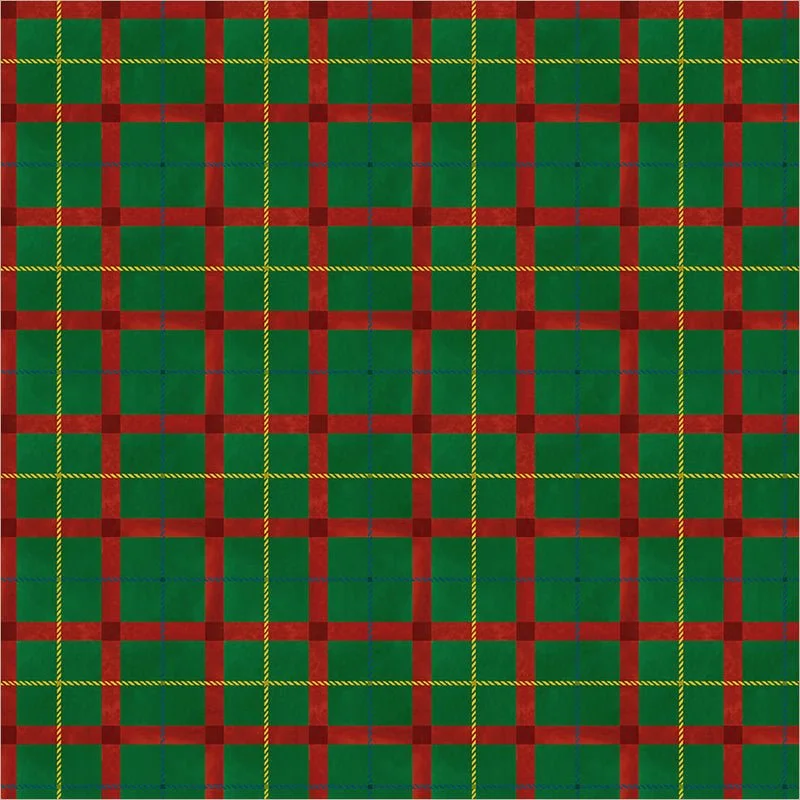 55172D-6-Green-Festive Plaid.jpg
