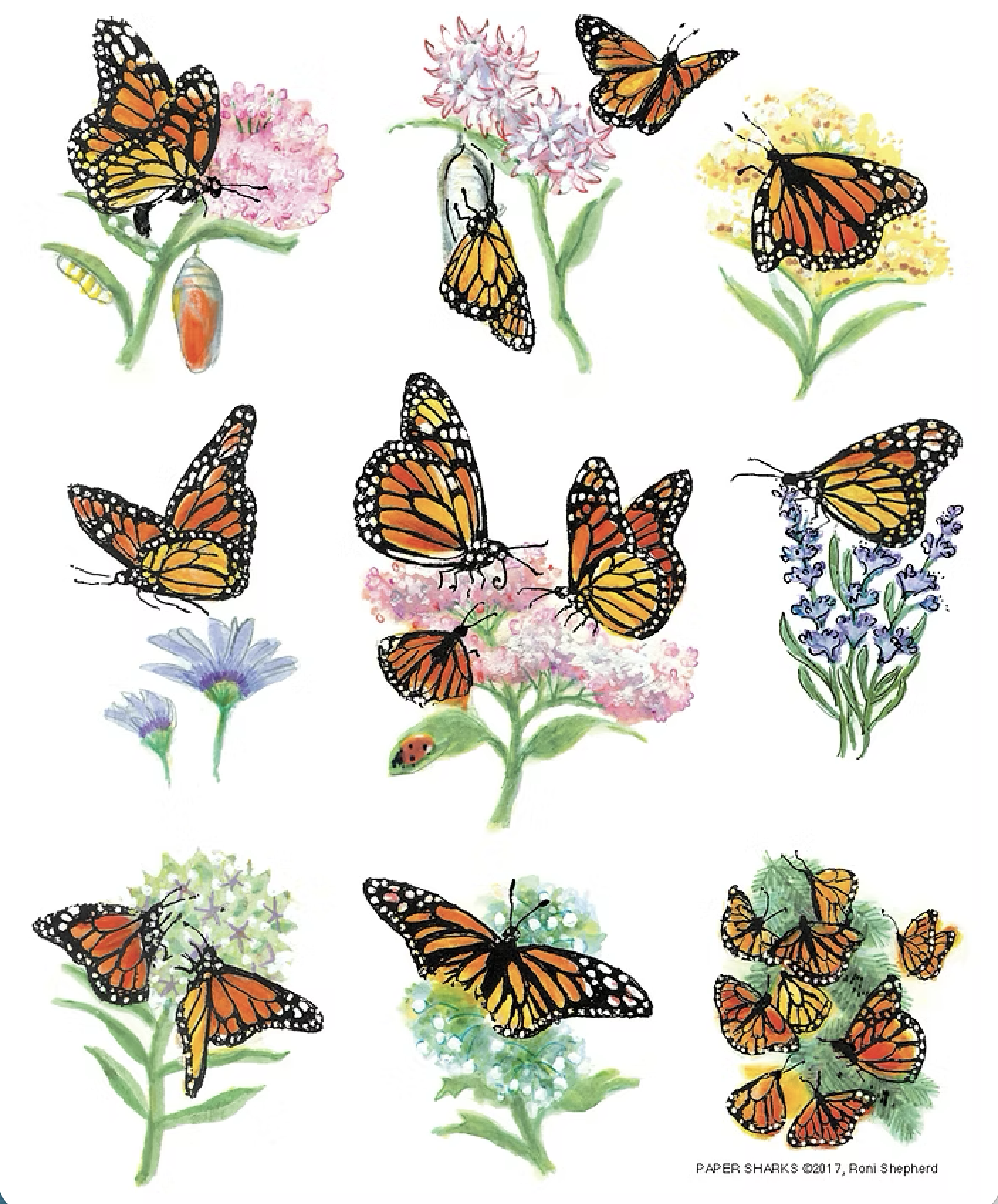 Monarchs Apron.png