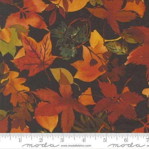 Northern Brights - Fall Leaves - Night Sky