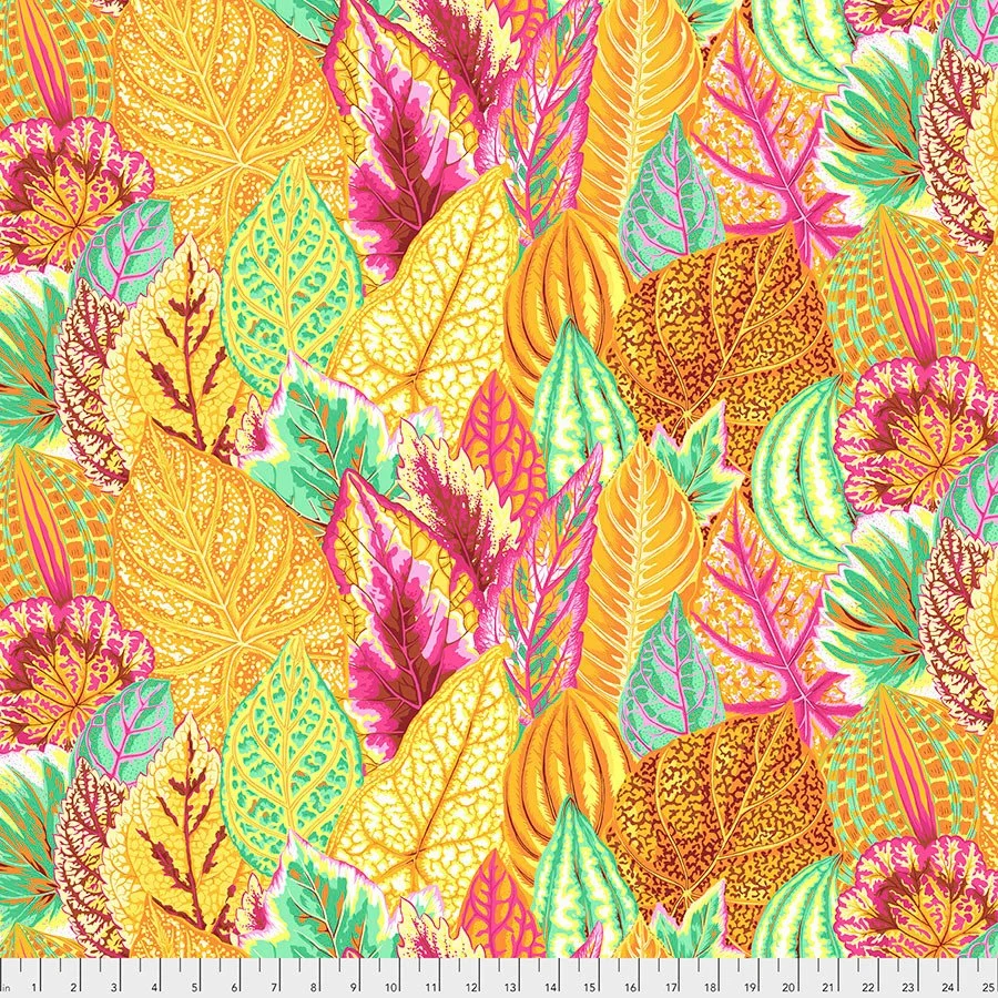 Coleus - Yellow