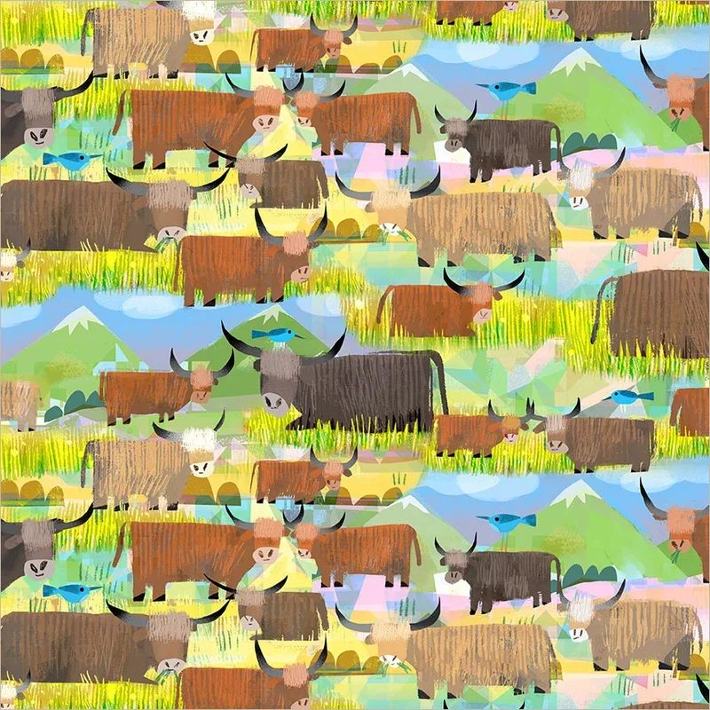 55457D-3-Highland Cows.webp