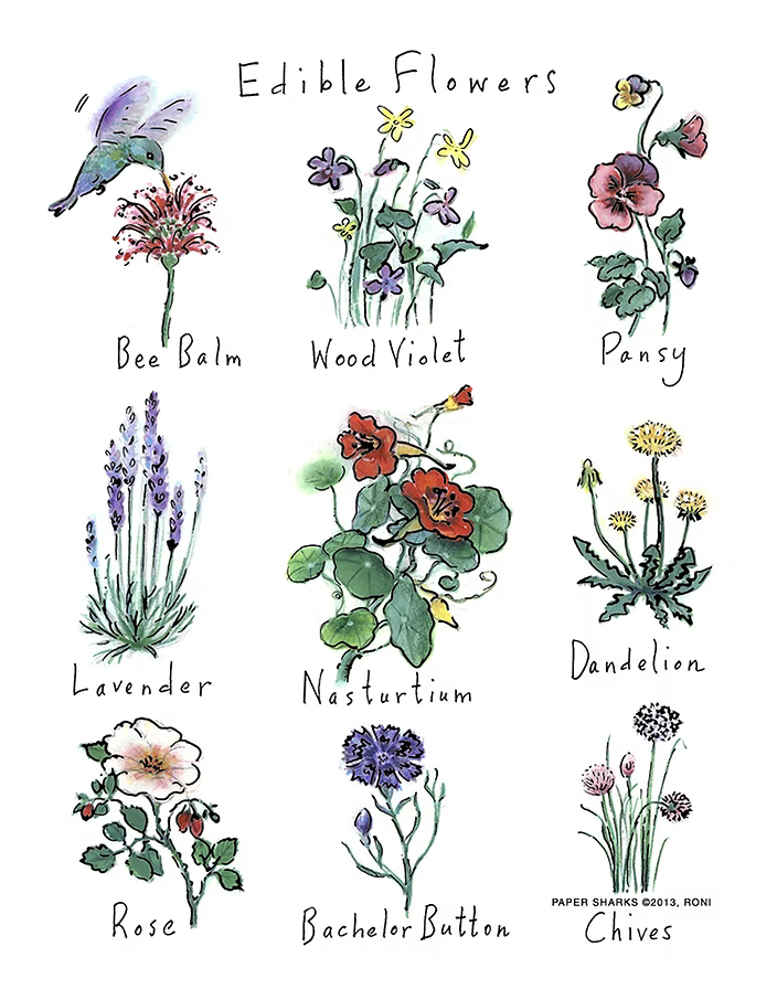 Edible Flowers-2.png