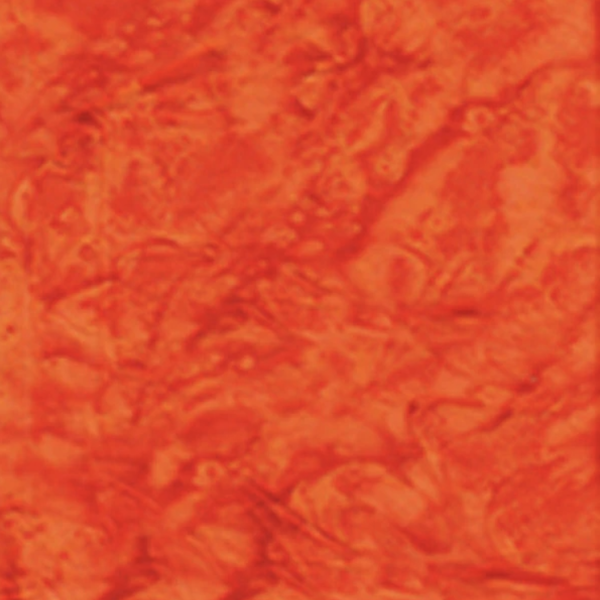 Anthology - Lava Solids - Mandarin