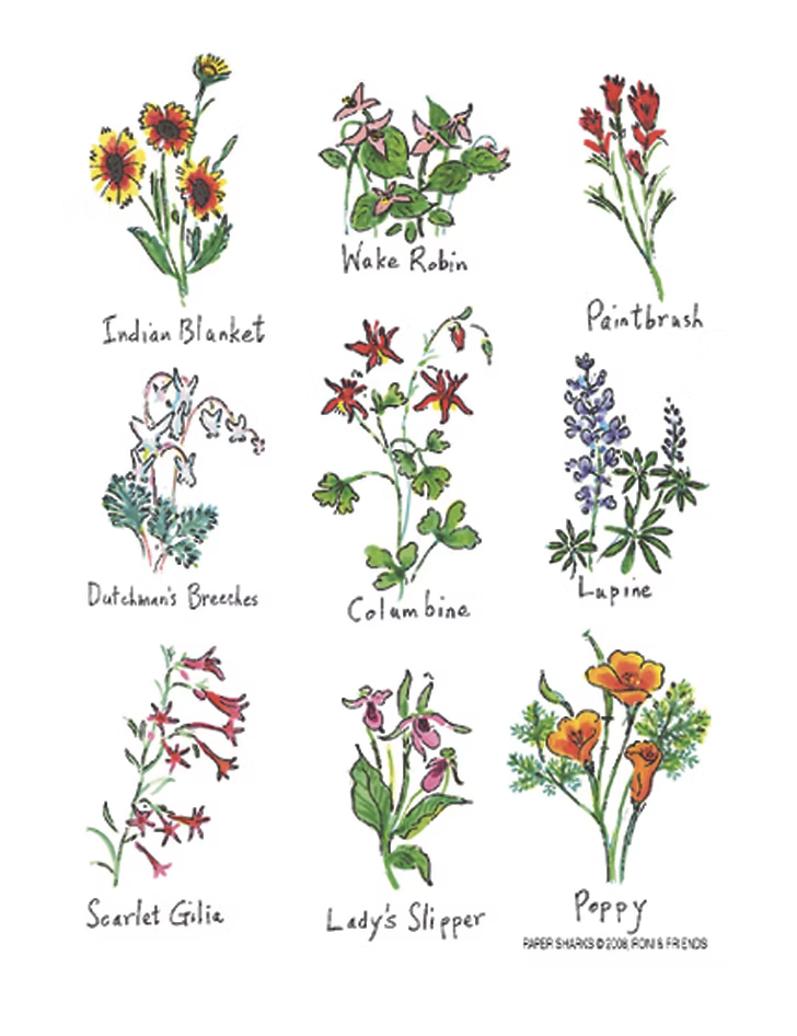 Wildflowers-2.png