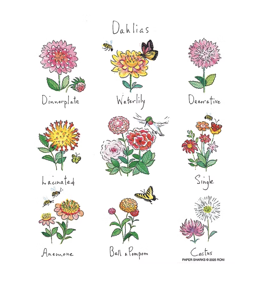 Flour Sack Towel - Dahlias