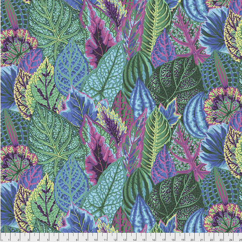 Coleus - Turquoise