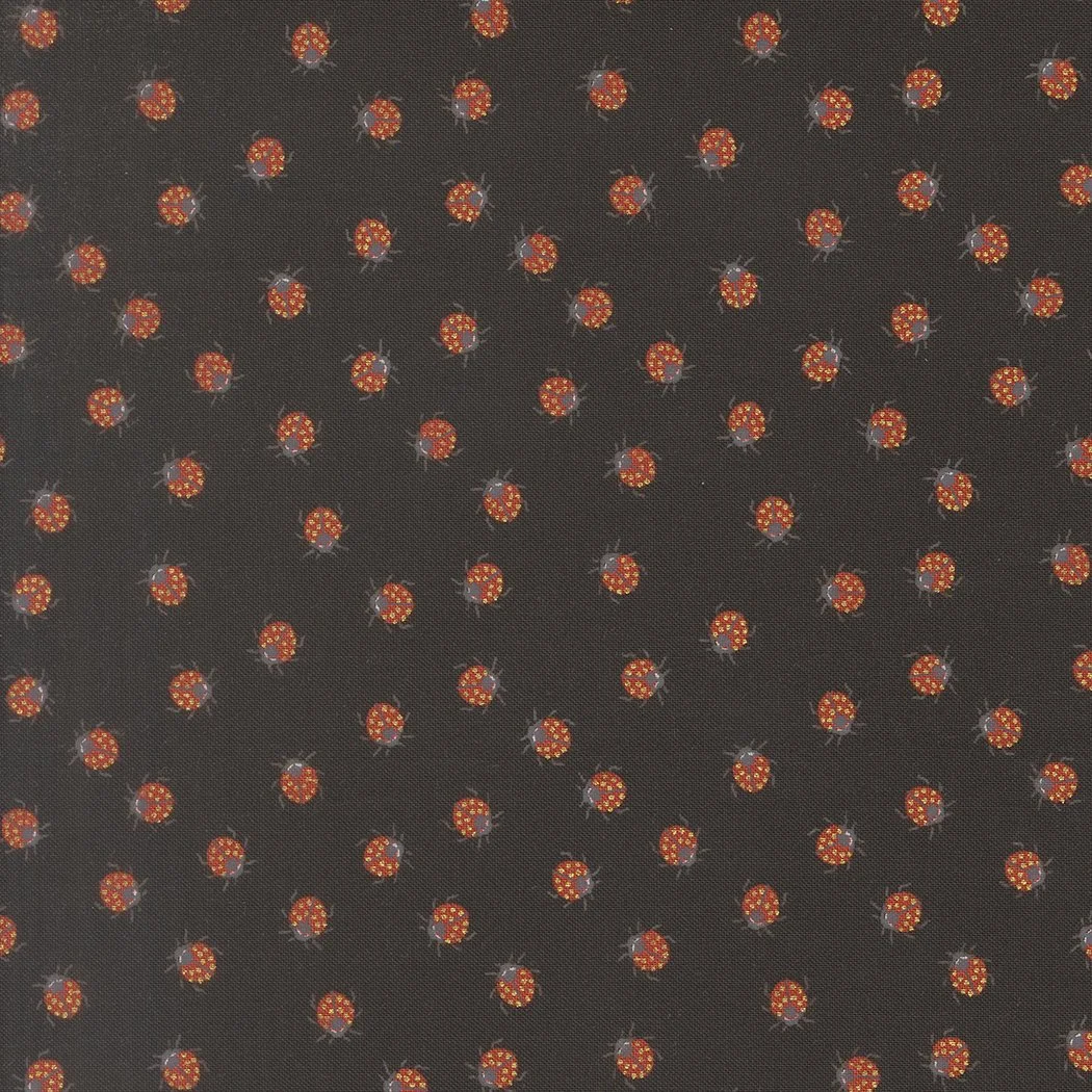 48446 18M-Little Ladybugs-Metal Midnight.jpg