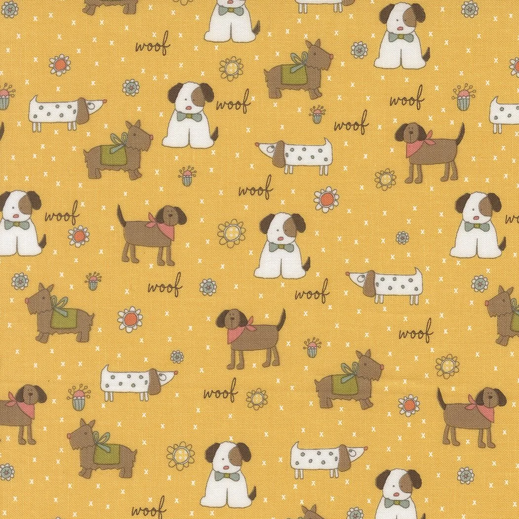 Puppy Parade-Sun-55700-14.jpg
