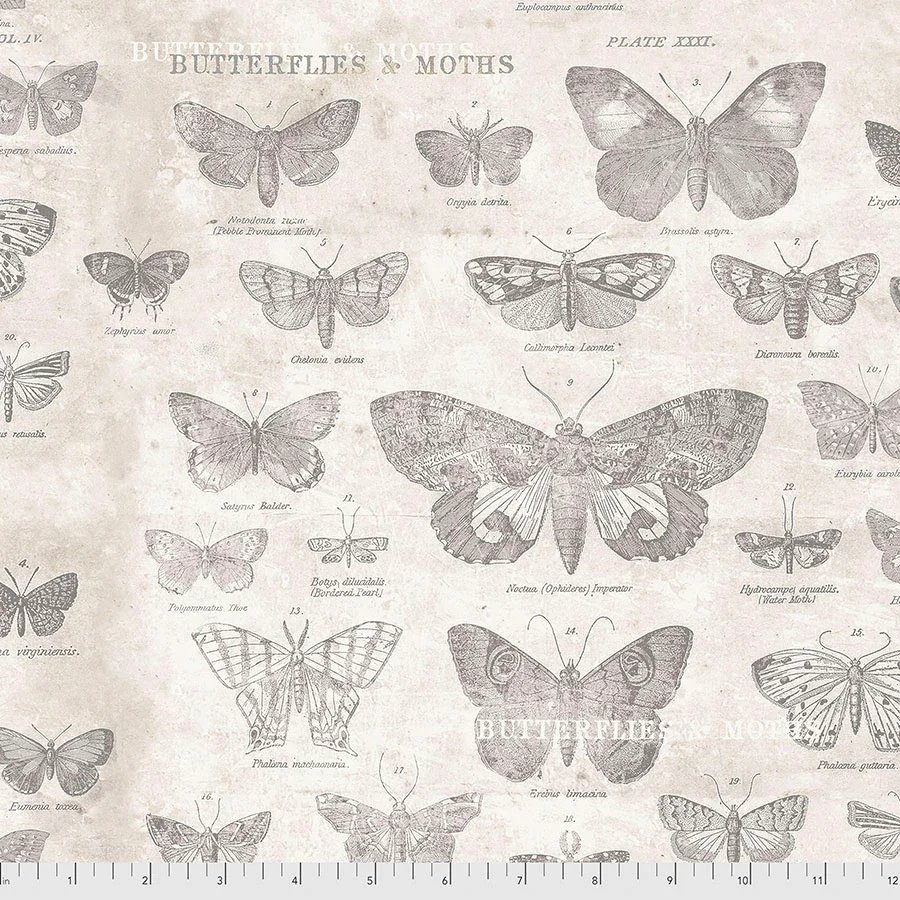 PWTH004.PARCHMENT-Butterflies.webp