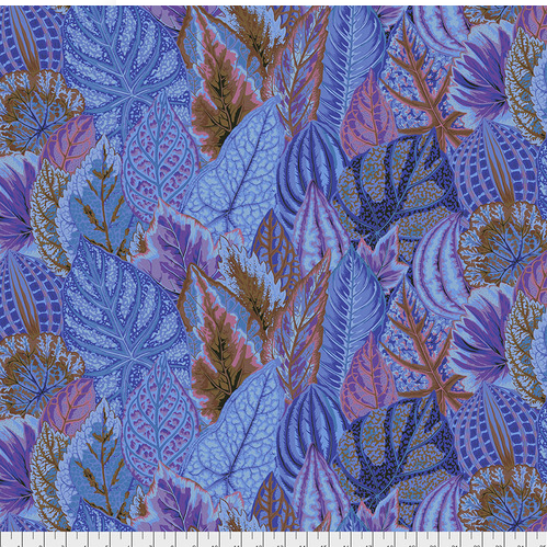 Coleus - Blue