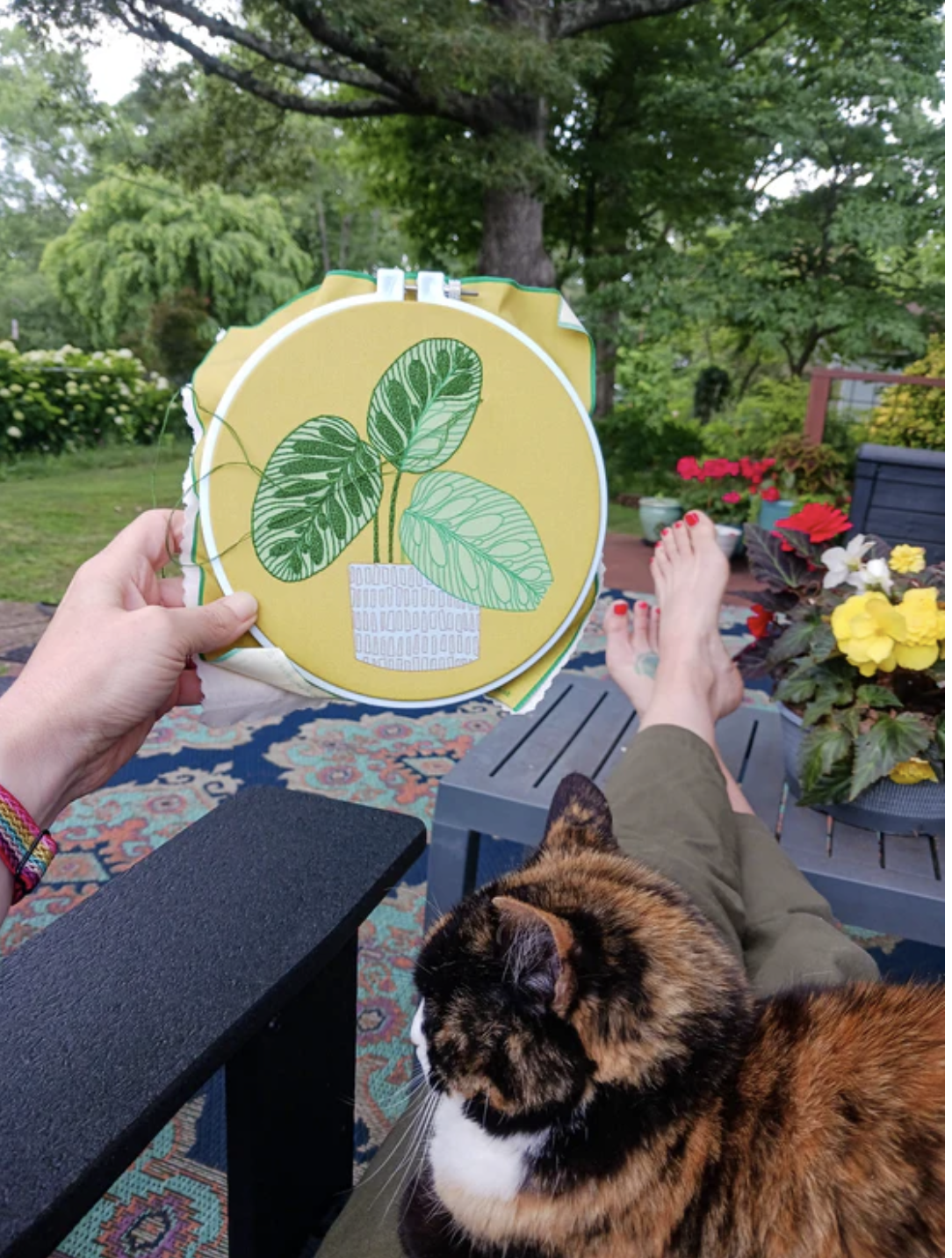 Screenshot 2026-02-18 at 1.09.47 PM.png