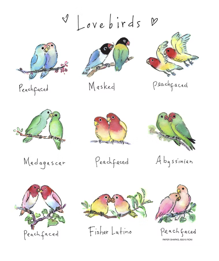 Flour Sack Towel - Lovebirds