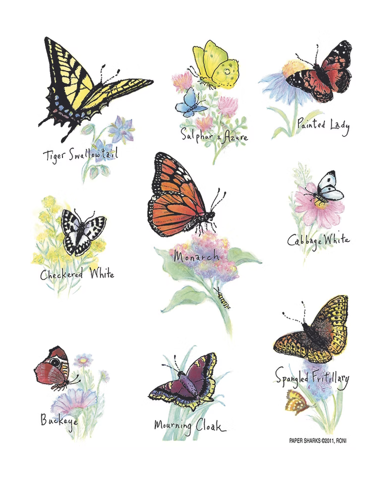 Flour Sack Towel - North American Butterflies