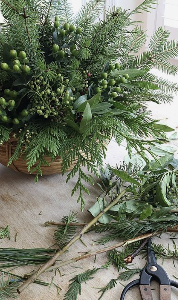 Screen Shot 2023-11-14 at 2.26.42 PM.png