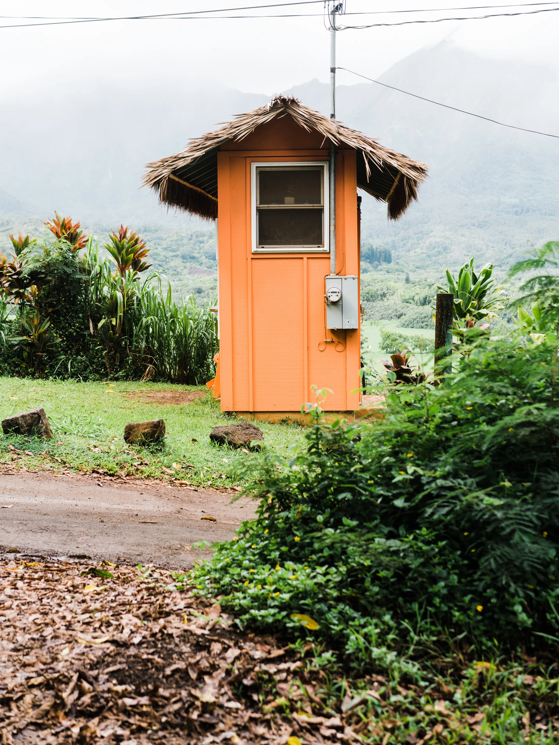 Old Club Med Trail And Pu U Poa Beach Nourish Hanalei