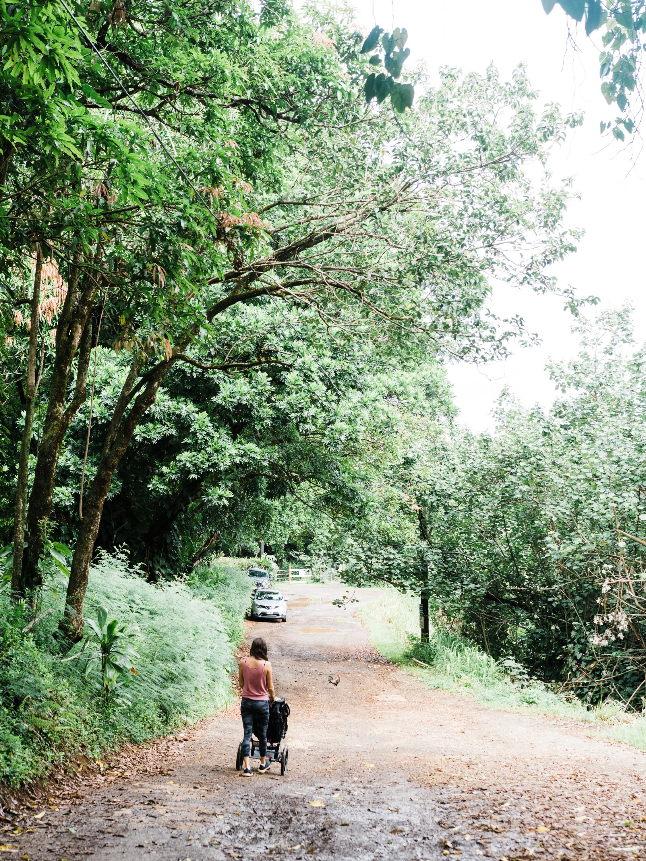 Walk down the hill towards the gate.