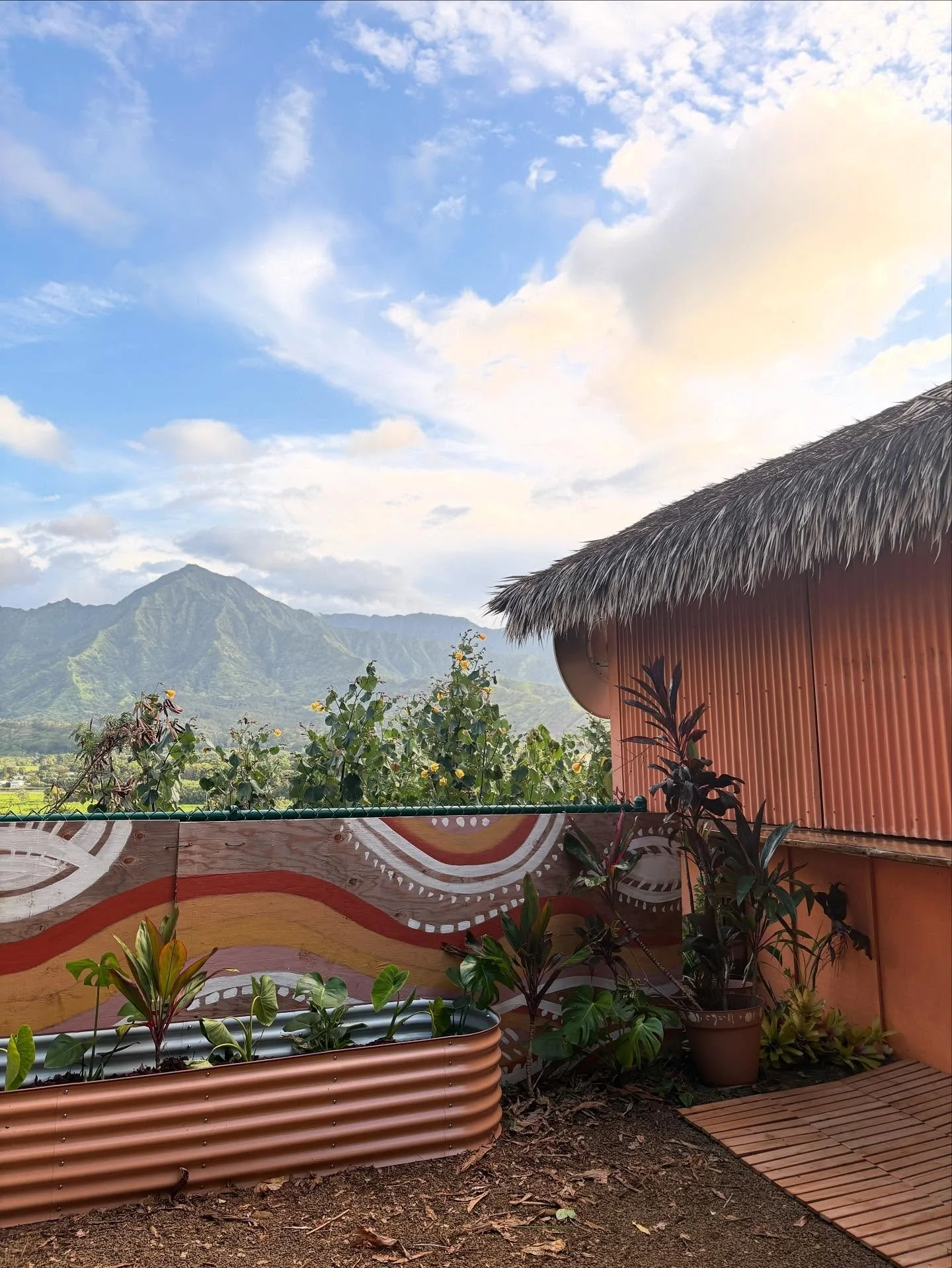 That morning light ☀️