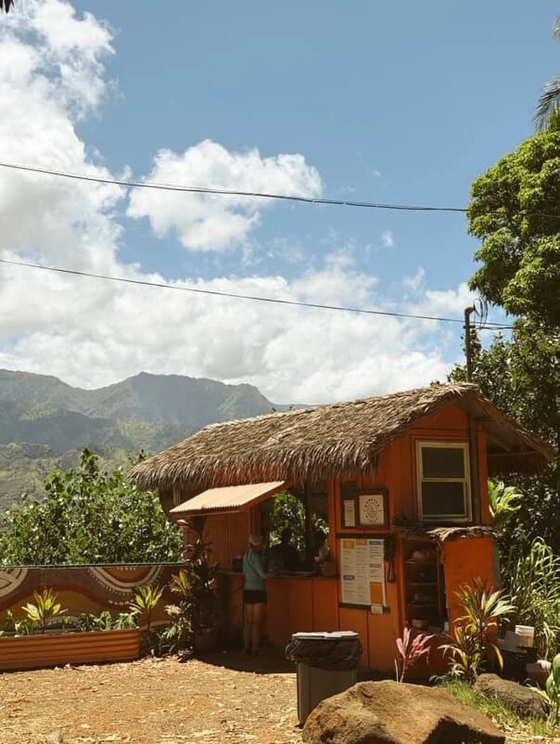 Monday-Saturday 8-3 🤙🏻 come get your nourish fix!