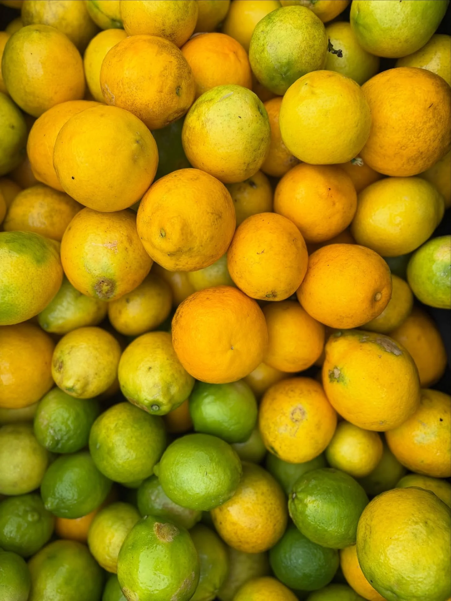 Freshly picked citrus for our seasonal lemonade 🍋🥤