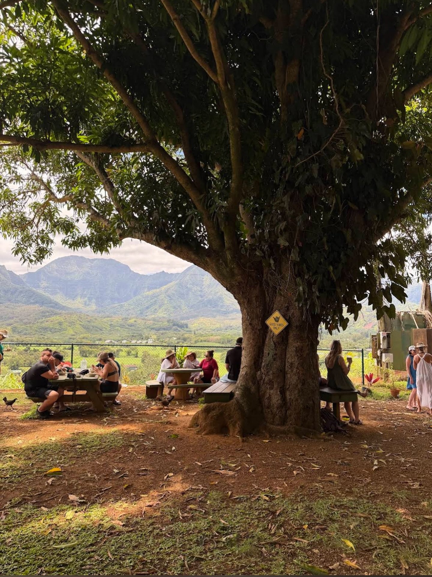 The gathering tree 🌳 🫶