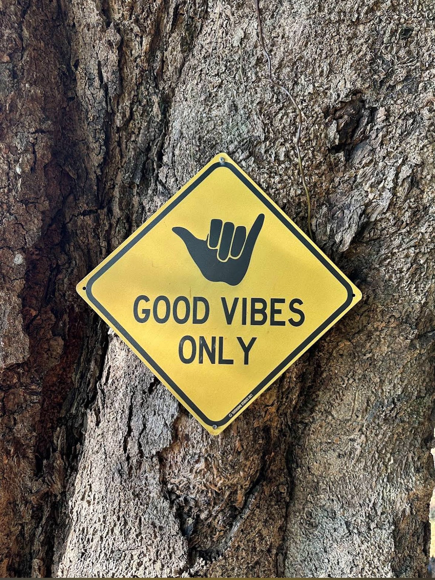🤙🏻 monday bringing the good vibes