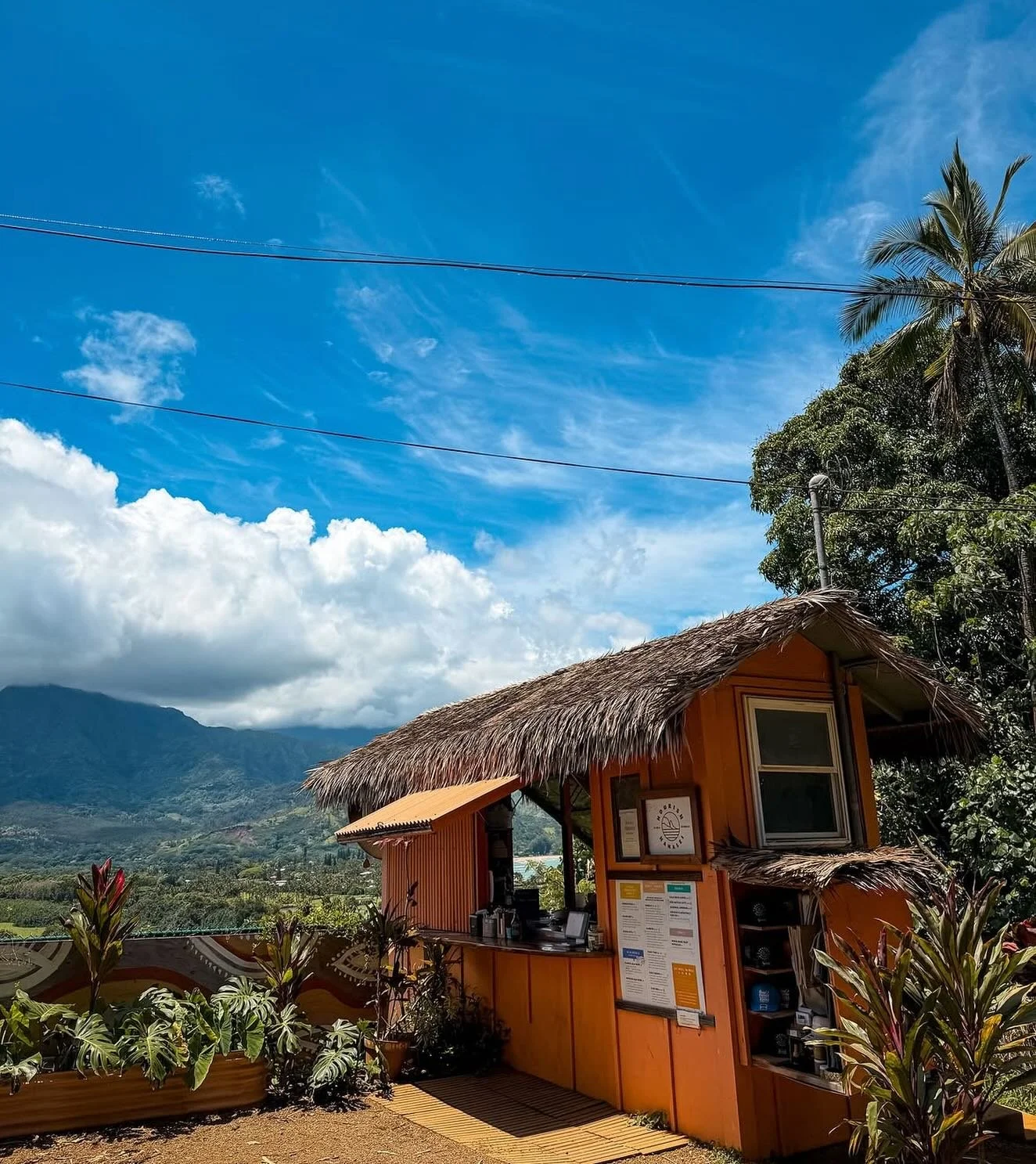 It&rsquo;s a lovely day in Hanalei 💛💛nourishing you today 8am-3pm
