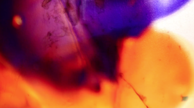 Screen Shot 2019-07-26 at 4.36.05 PM.png