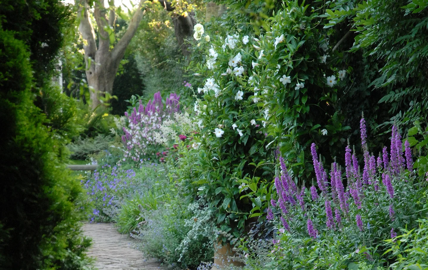 7_lush_hollyhocks.jpg