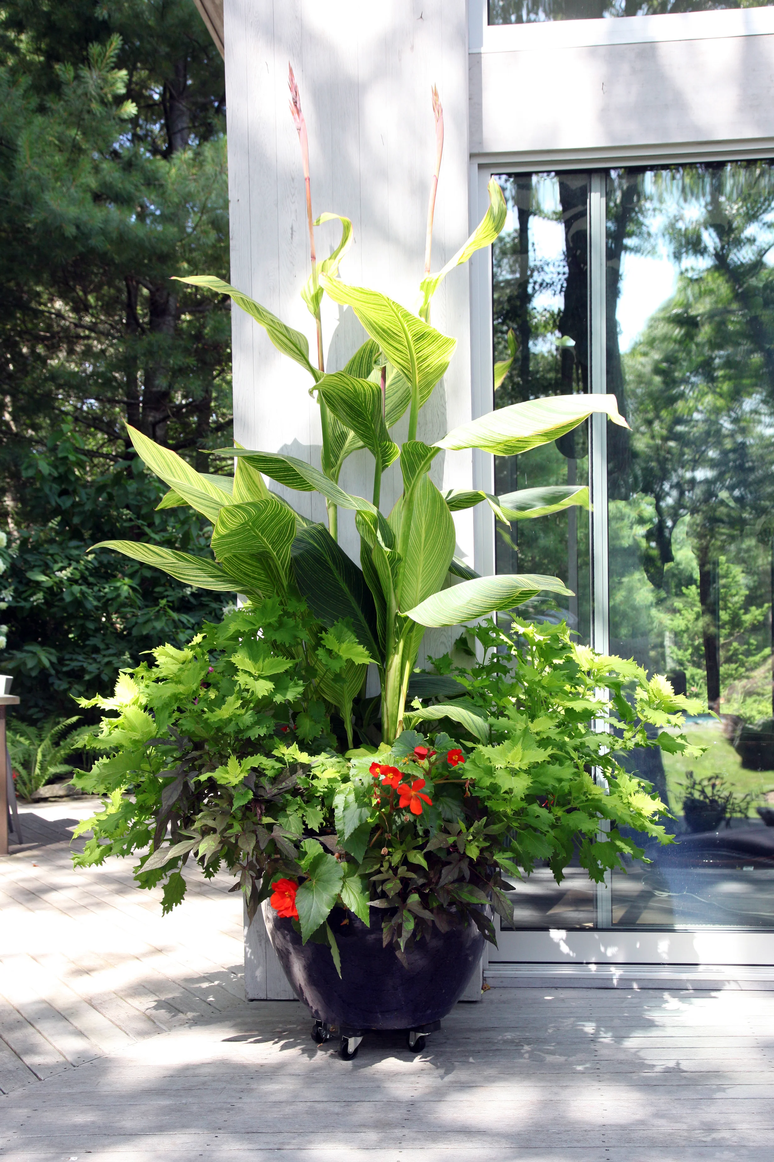 12_planters.jpg
