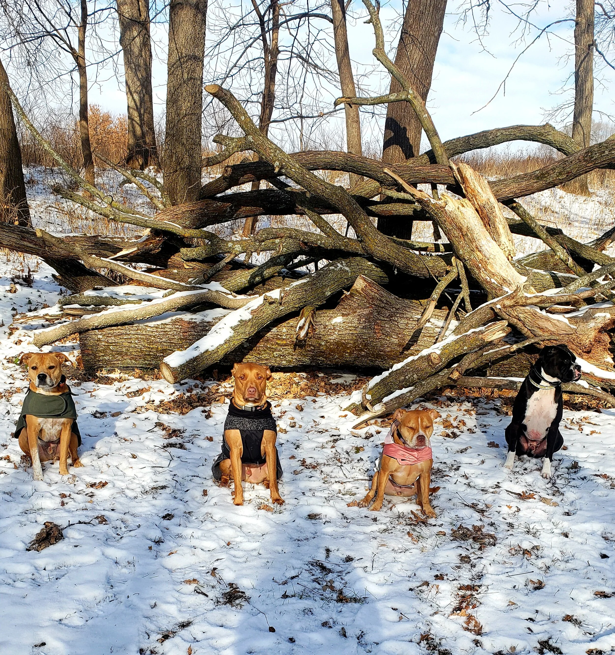 20201216_141534.jpg