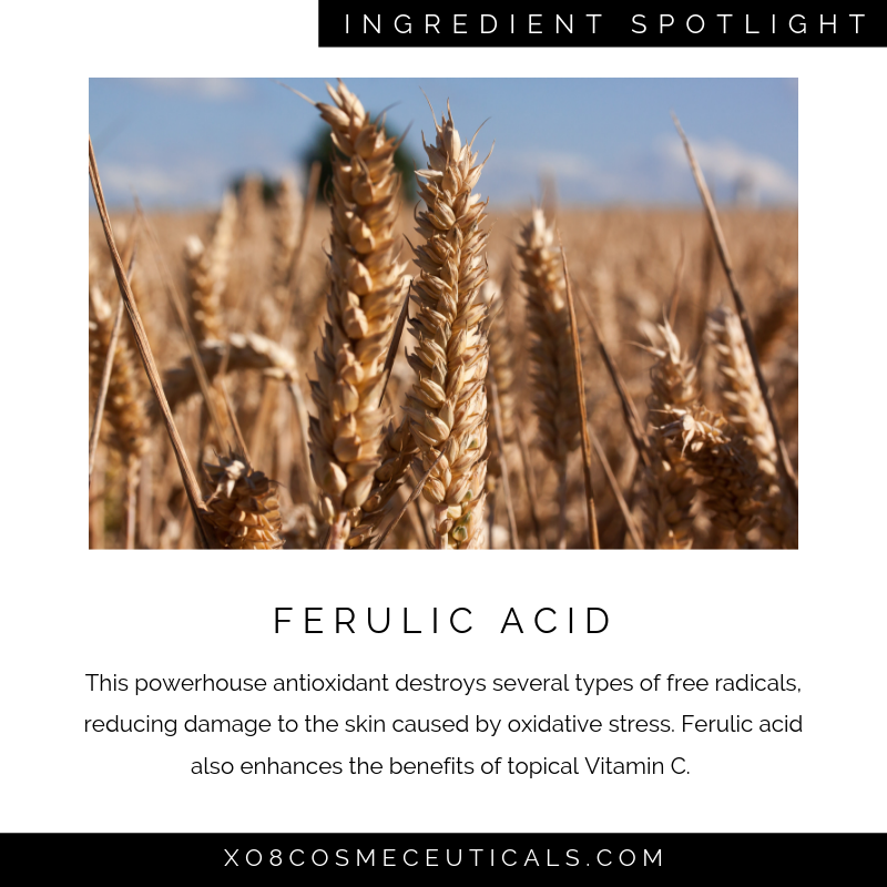 Ferulic Acid.png
