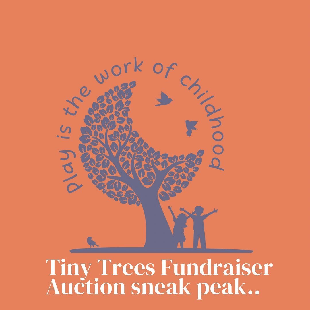 We have a fundraiser including a silent auction, live music, food and circus show on October 22nd from 2-5pm. 

Come celebrate the value of early childhood education on our community.