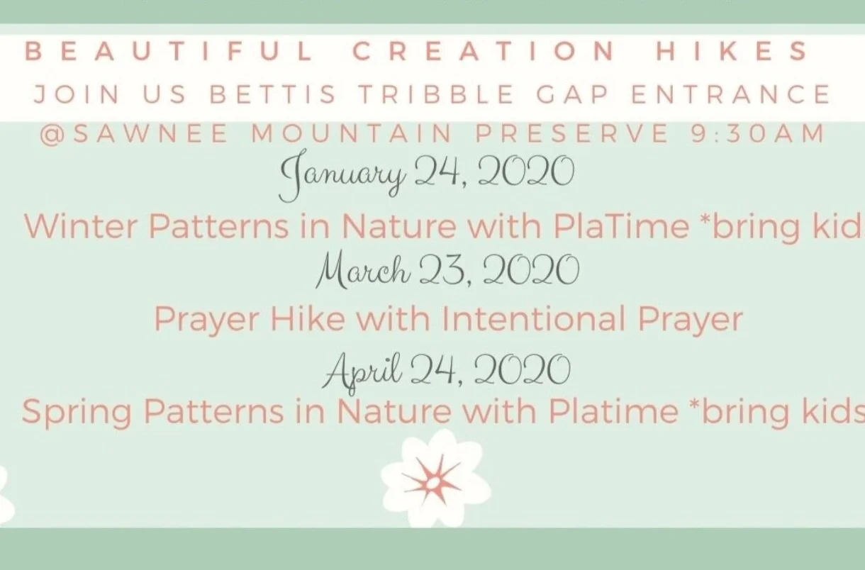 Nature Hike with PlaTime--Spring Patterns