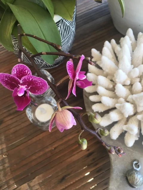 Consistent Self Care versus Emergency Self Care