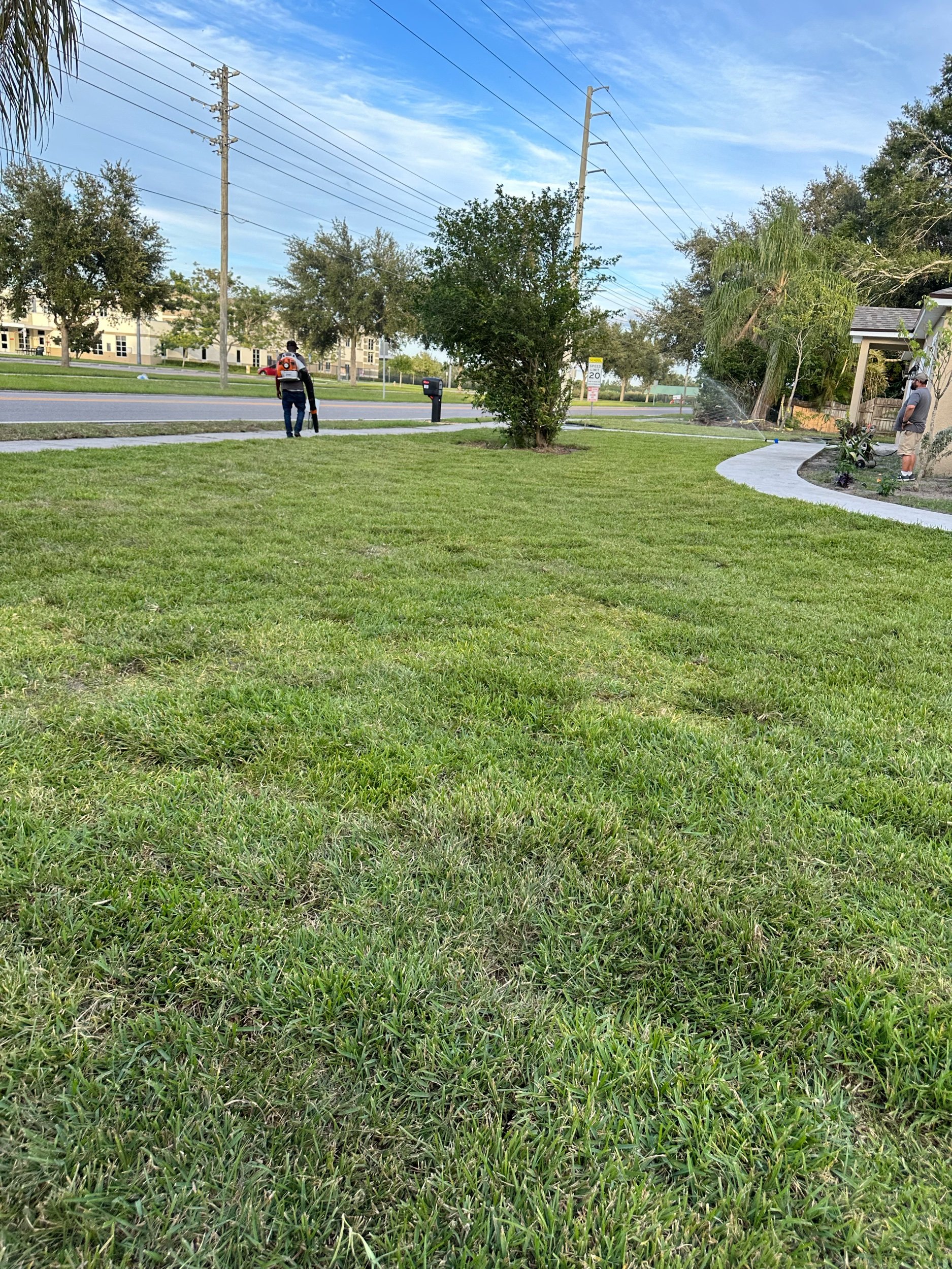 IMG_0213.jpeg