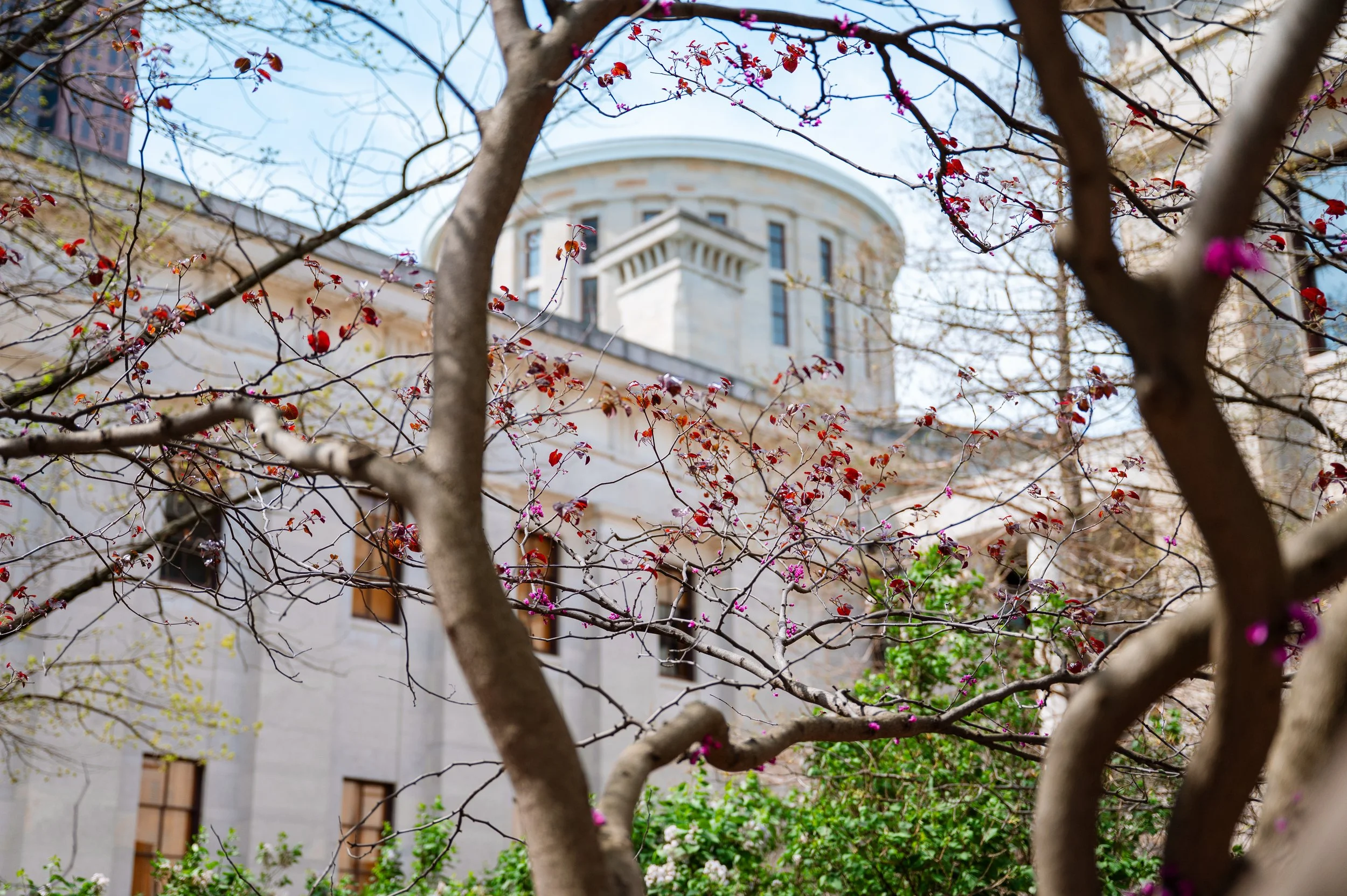 04.14.26 Spring Scenics-6.jpg