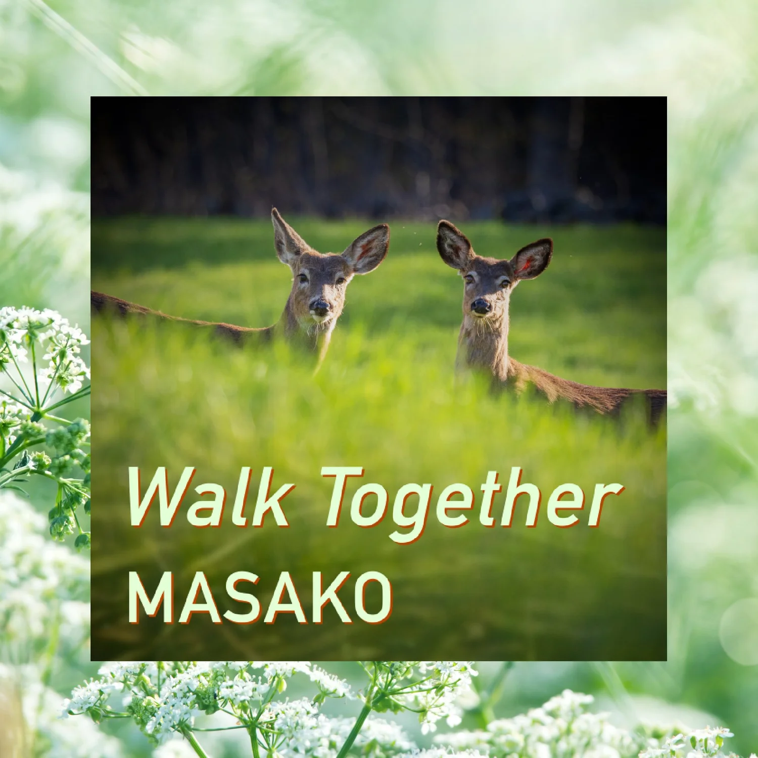 Masako Music