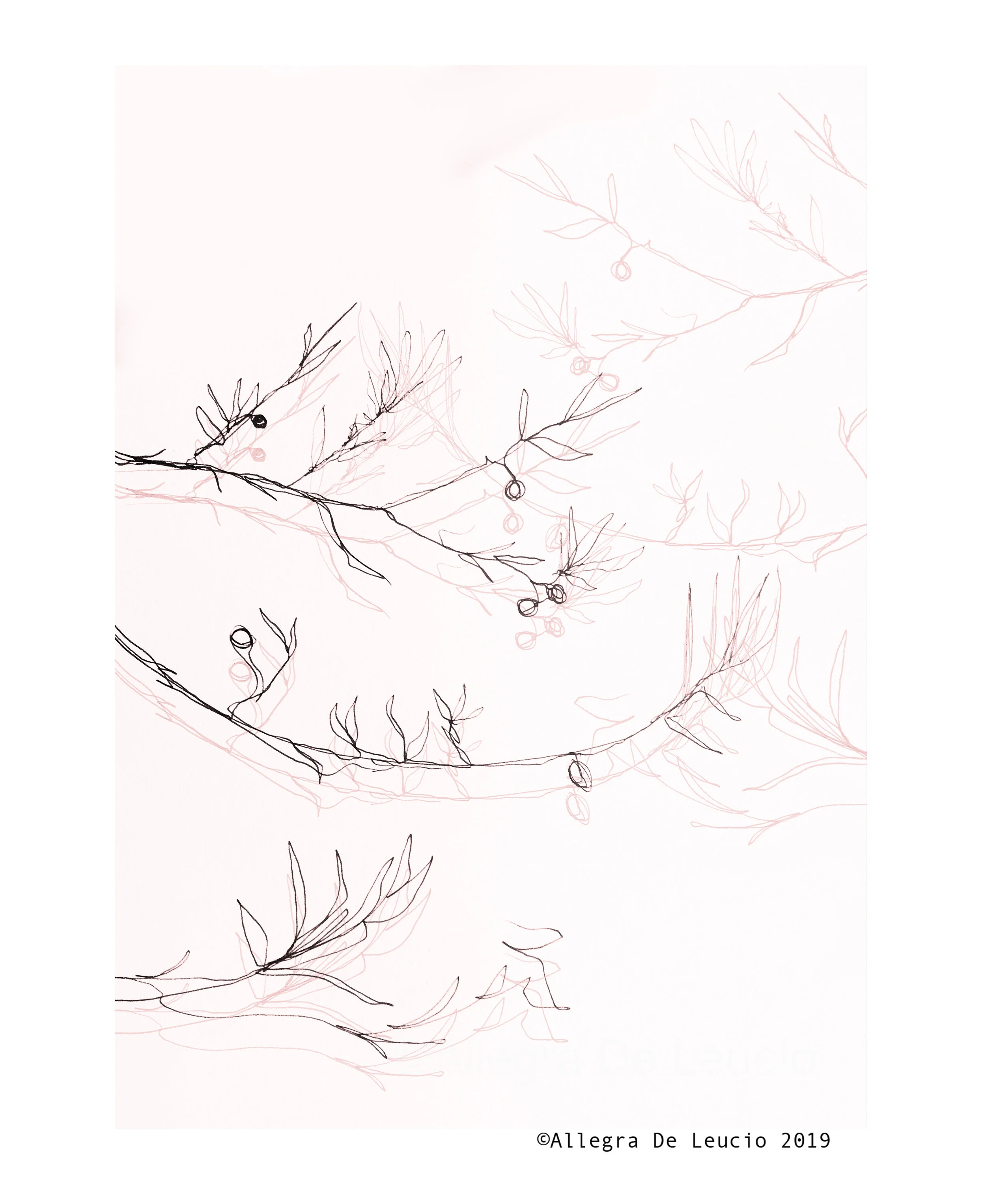 D - GLL - #4
