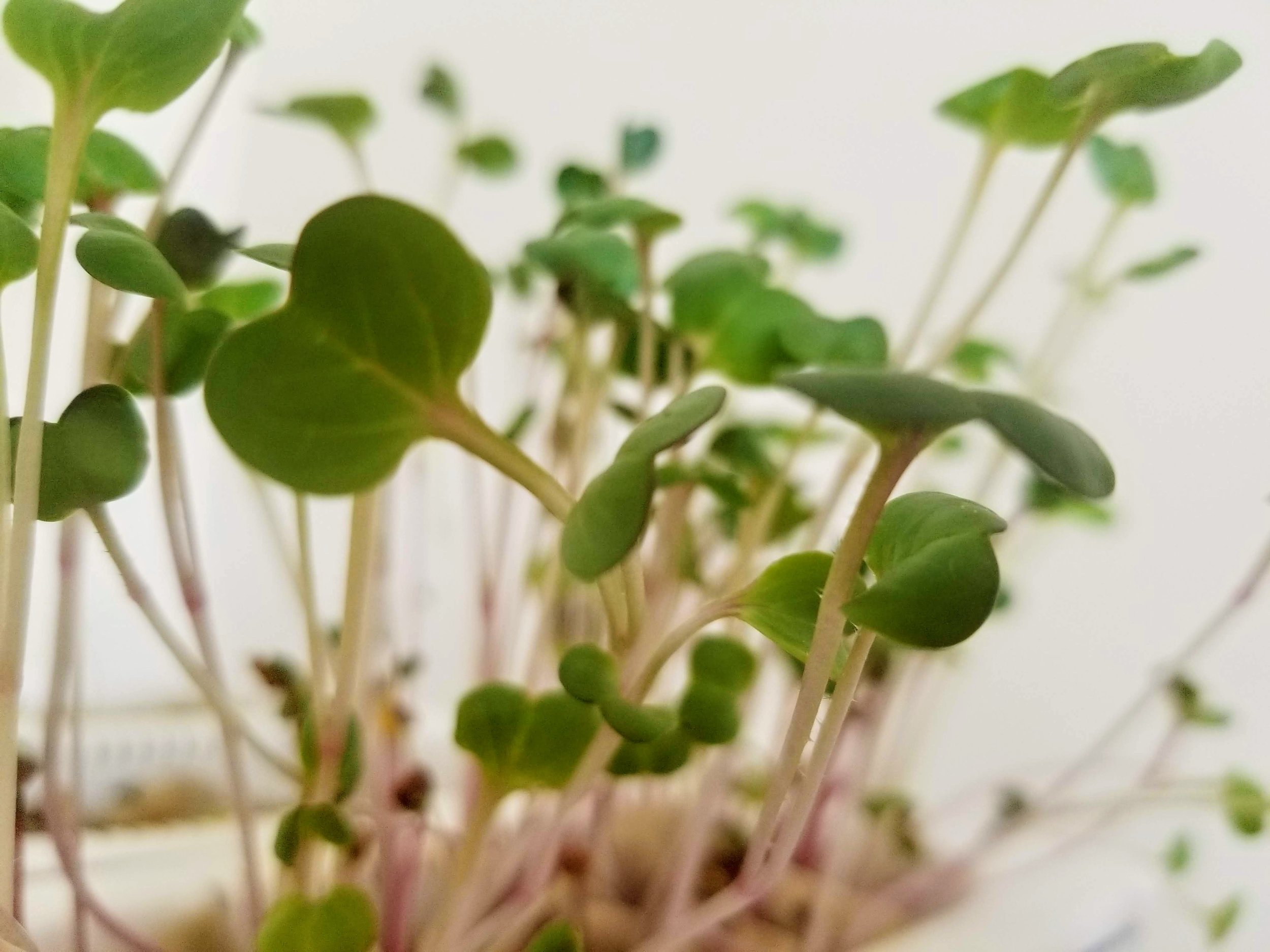 20190410_102815.jpg