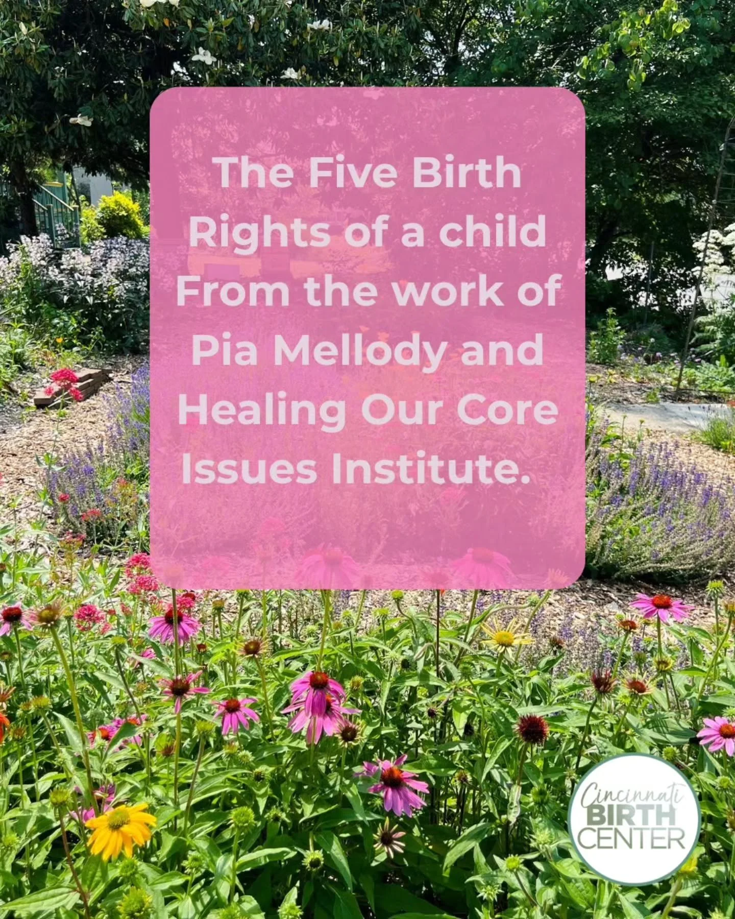 Understanding these five core birth rights fundamentally changed me as a person and helped me to heal from PCOS and infertility. They can be used to help us understand each other and parent ourselves and our children. 💕

#childhoodtraumarecovery #ch